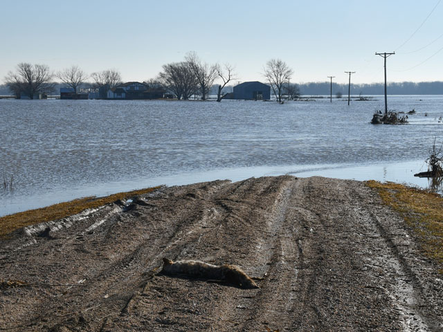 The U.S. Army Corps of Engineers has submitted a federal funding request to conduct a study of flooding issues in the lower Missouri River basin. (DTN photo by Russ Quinn)